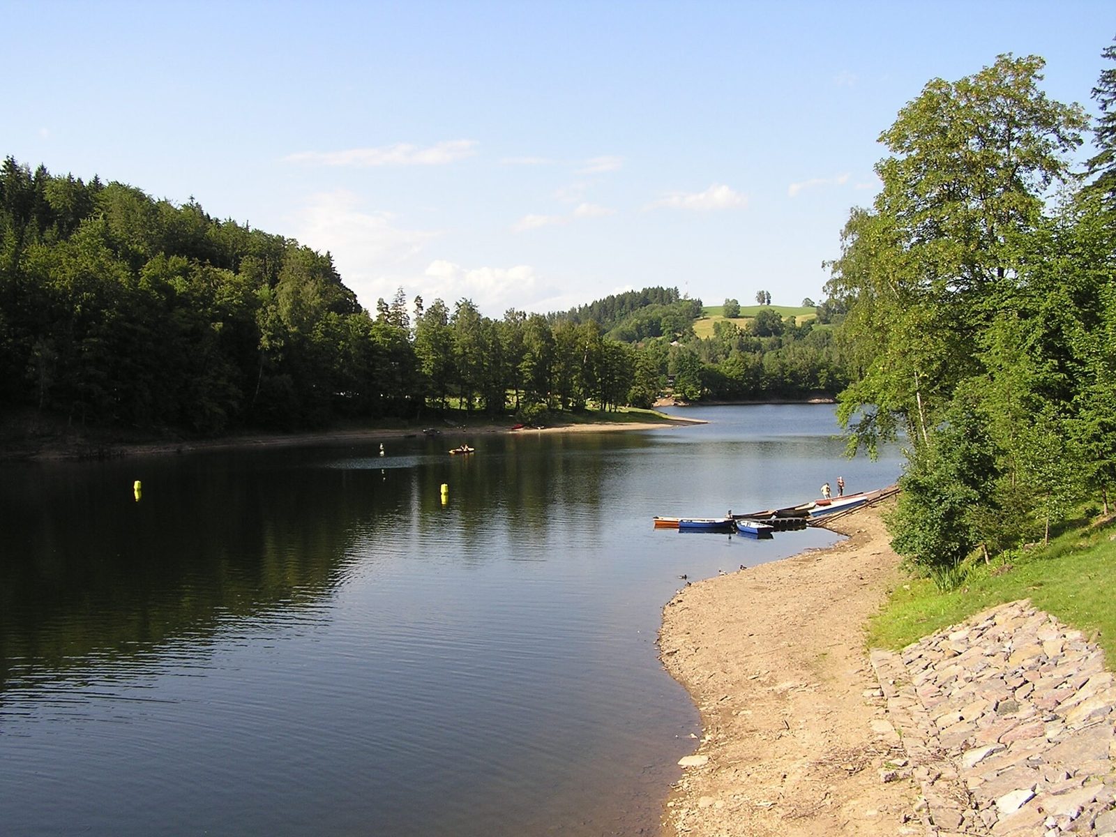 Přehrada Pastviny v létě, břeh s lesem